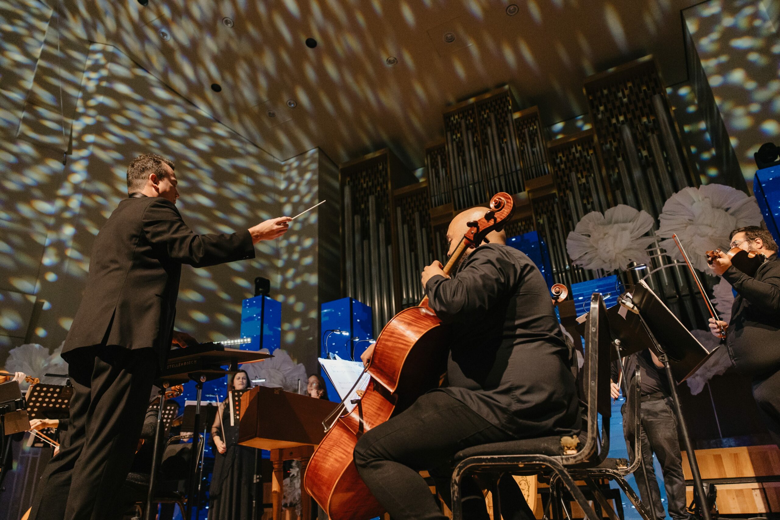Vivaldi-201